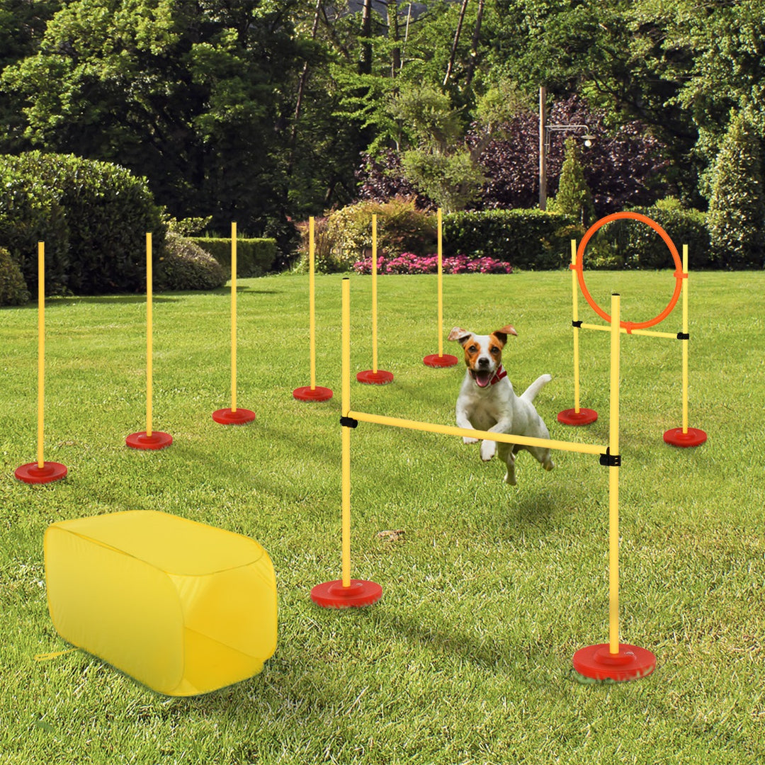 PawHut Outdoor 4 PC Equipo de entrenamiento de agilidad para perros y mascotas en el patio trasero