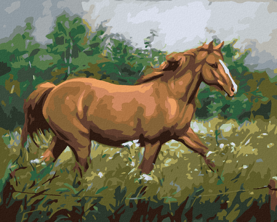 Paint by Numbers - BROWN HORSE GRAZING NEAR A FOREST