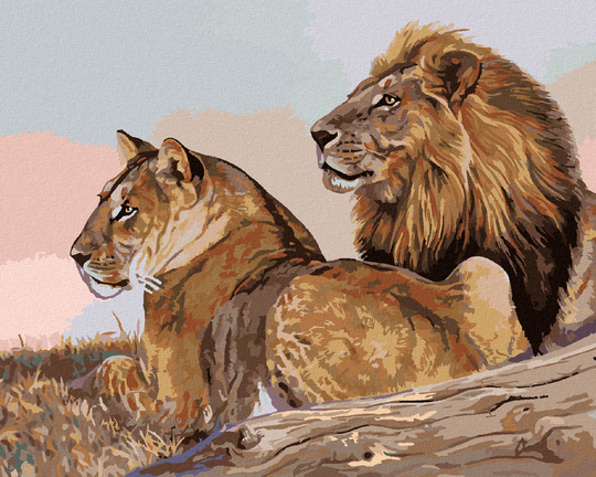 Zuty - Paint by Numbers - LION AND LIONESS (AL AGNEW), 40x50 cm