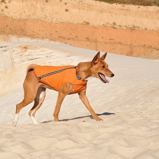 Nachhaltige, umweltfreundliche Hundejacke/-weste – hergestellt in der Ukraine