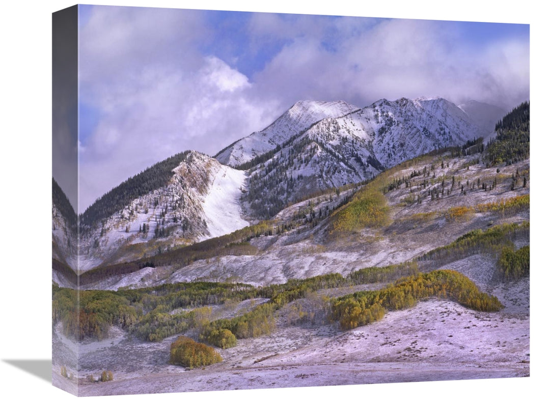 Global Gallery GCS-396180-16-142 16 in. Elk Mountains with Snow in Aut