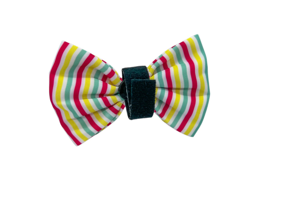 Beach Bum Bow Tie: Beach Towel Stripes