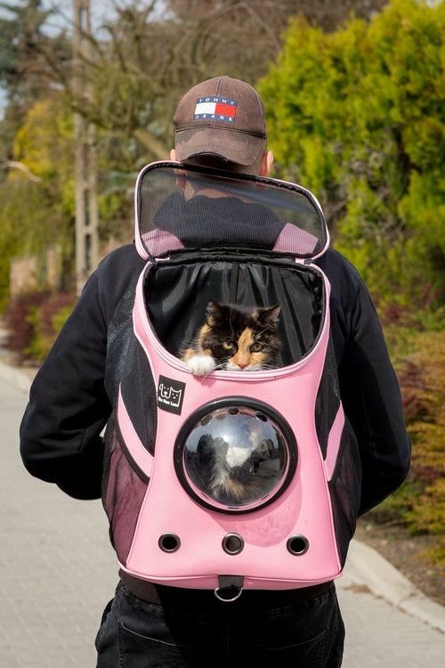 Pet Bubble Backpack