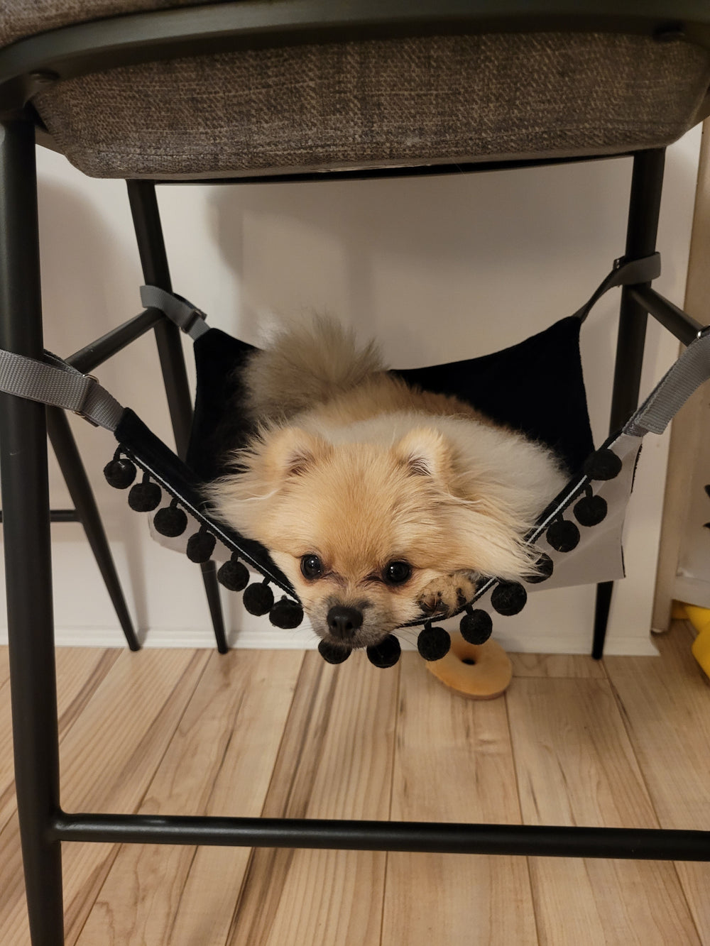 NIGHT STORM Saveplace® black hammock for pets & storage with pom poms